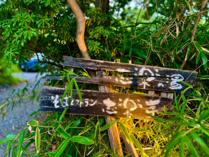 よしまるさんの縄文天然温泉 志楽の湯のサ活写真