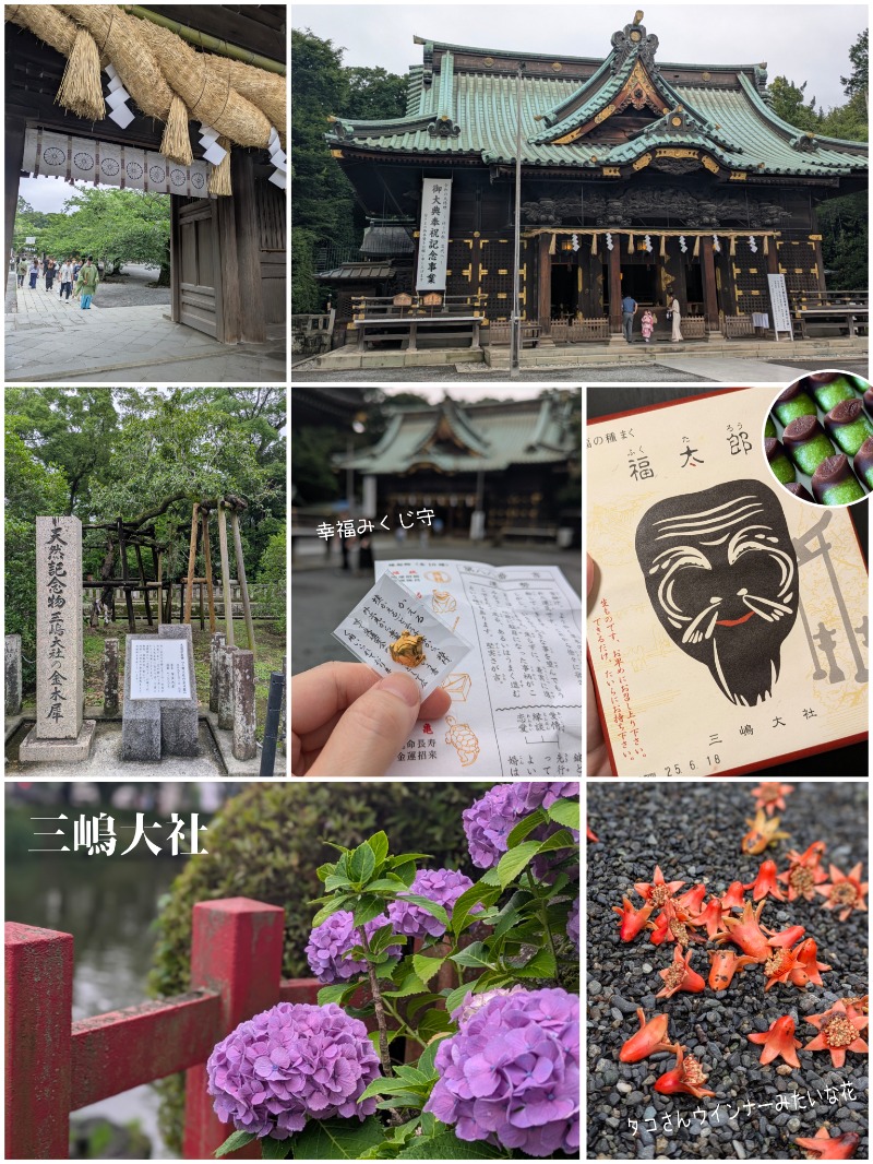 焼き鳥つくねパンさんの富嶽の湯 ドーミーイン三島のサ活写真