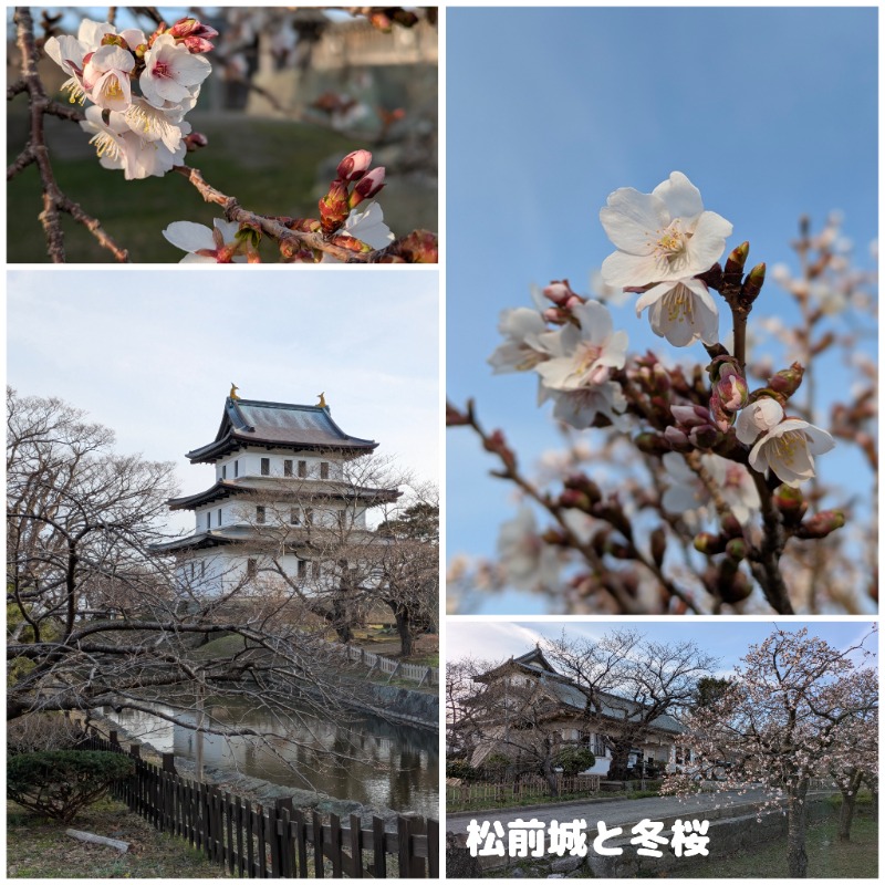 焼き鳥つくねパンさんの吉岡温泉ゆとらぎ館のサ活写真