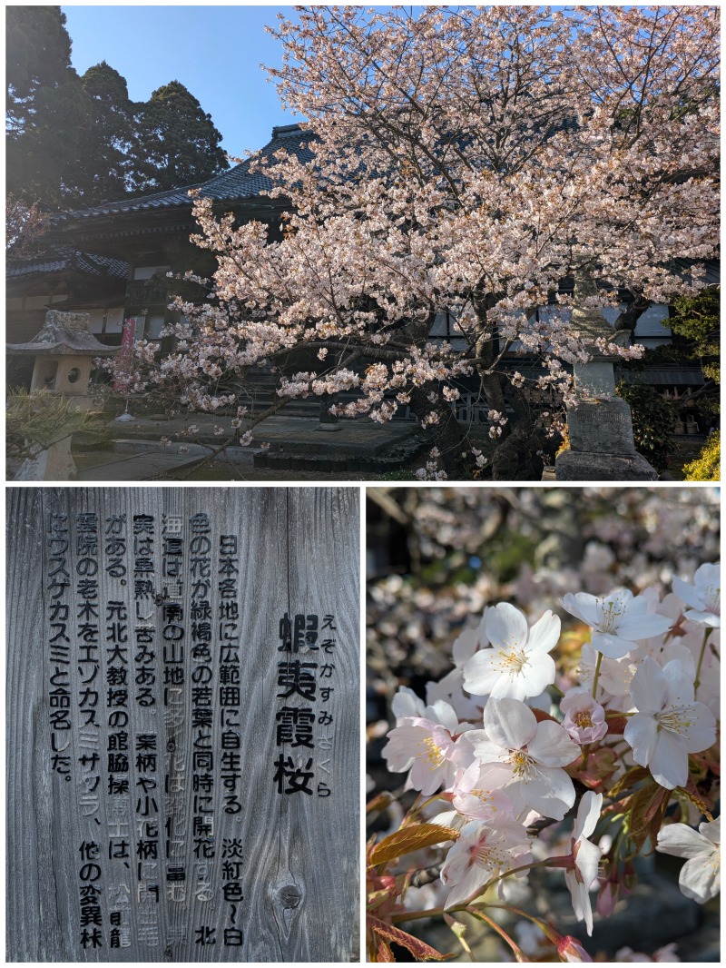 焼き鳥つくねパンさんの吉岡温泉ゆとらぎ館のサ活写真