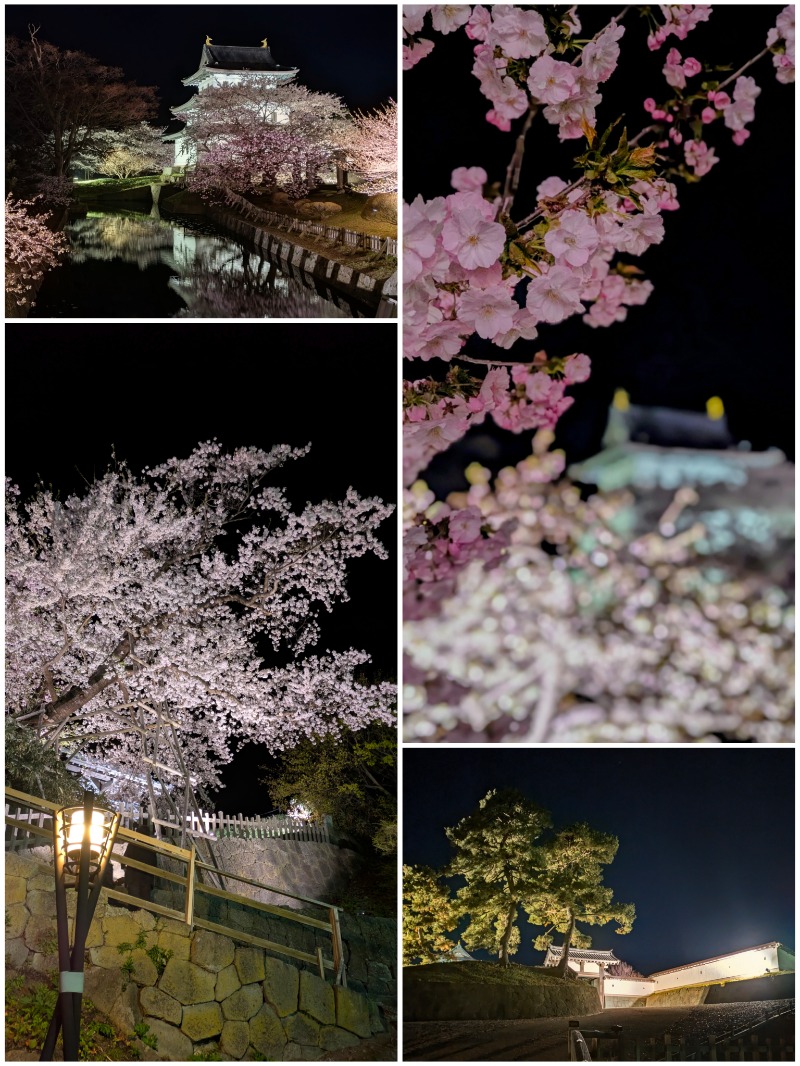焼き鳥つくねパンさんの温泉旅館矢野のサ活写真