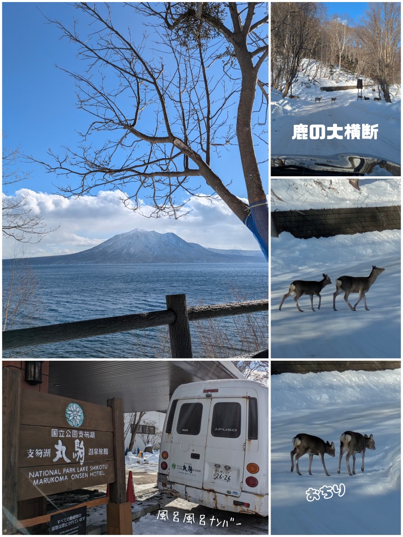 焼き鳥つくねパンさんの奥札幌の秘湯 湖畔の宿支笏湖 丸駒温泉旅館のサ活写真