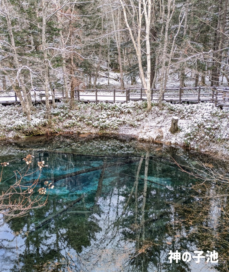 焼き鳥つくねパンさんのラビスタ大雪山のサ活写真