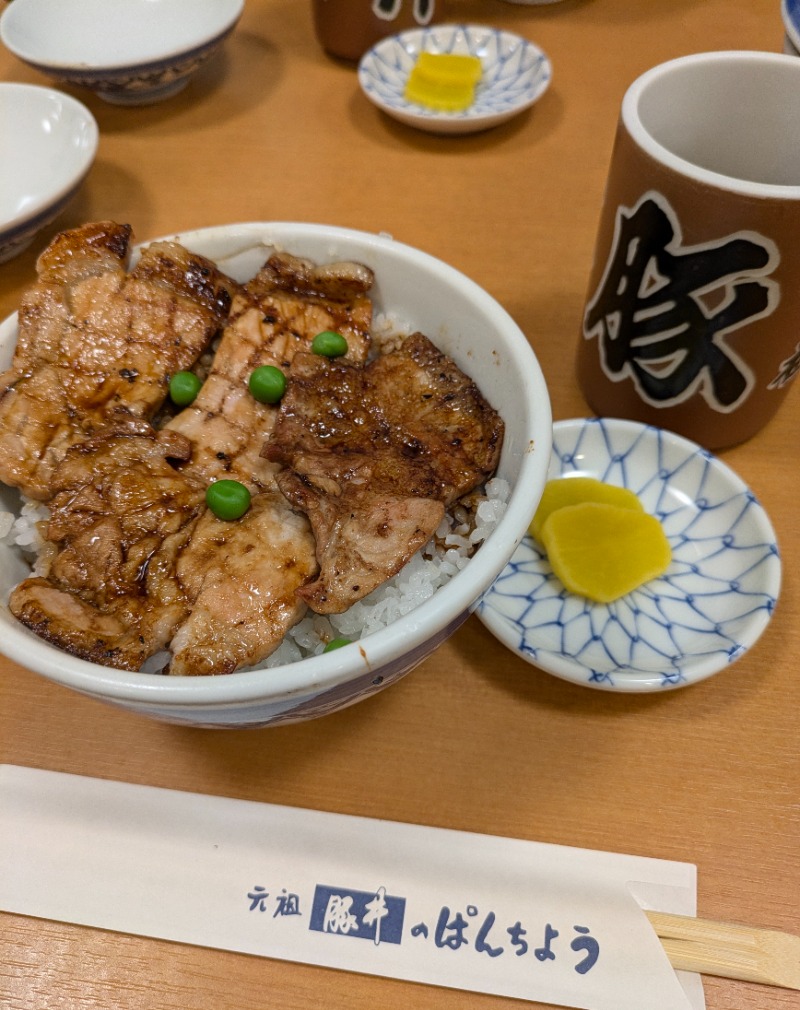 焼き鳥つくねパンさんの帯広天然温泉 ふく井ホテルのサ活写真