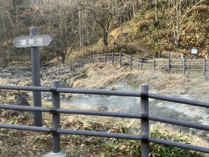 りかさんのトムラウシ温泉 東大雪荘のサ活写真