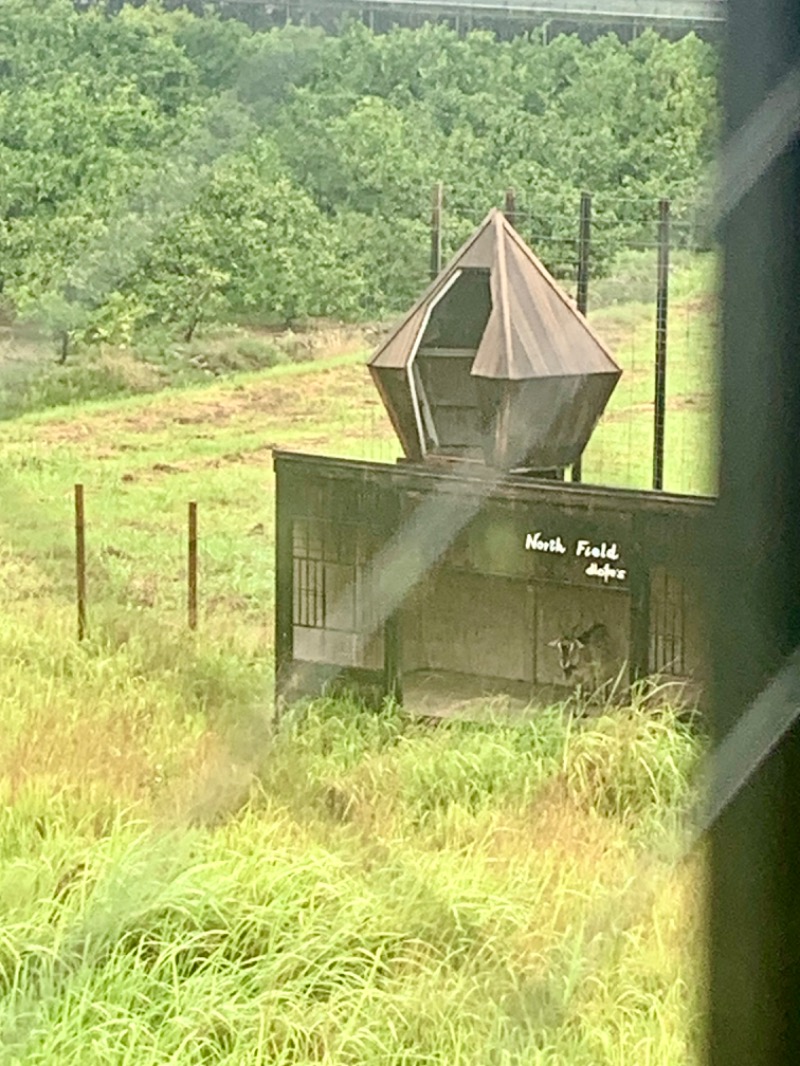 サウナッパさんの白のMINKA 空に浮かぶサウナ小屋のサ活写真