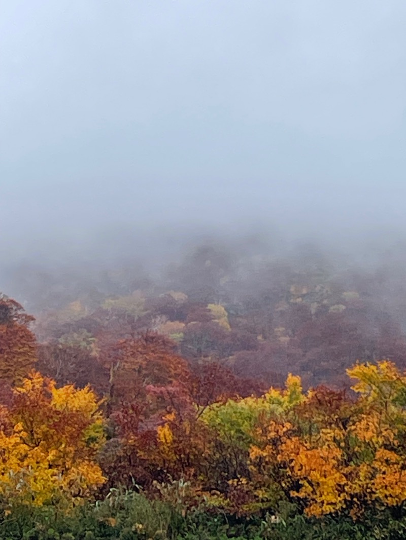 まゆみさんの水沢温泉館のサ活写真