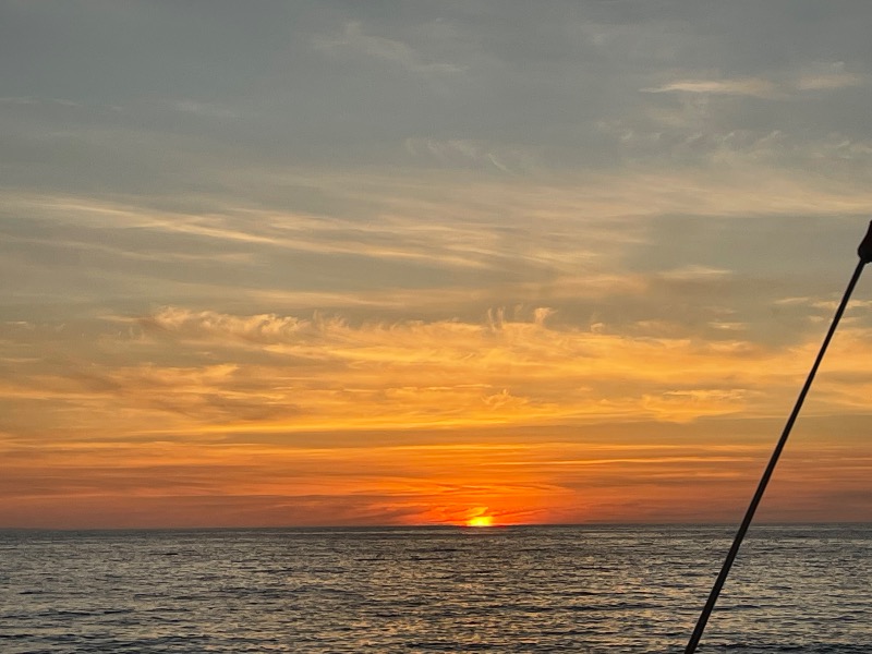 まゆみさんの塩の湯温泉 サンセット中条のサ活写真