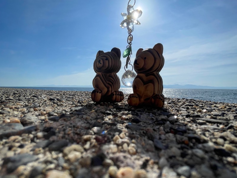 まゆみさんの塩の湯温泉 サンセット中条のサ活写真