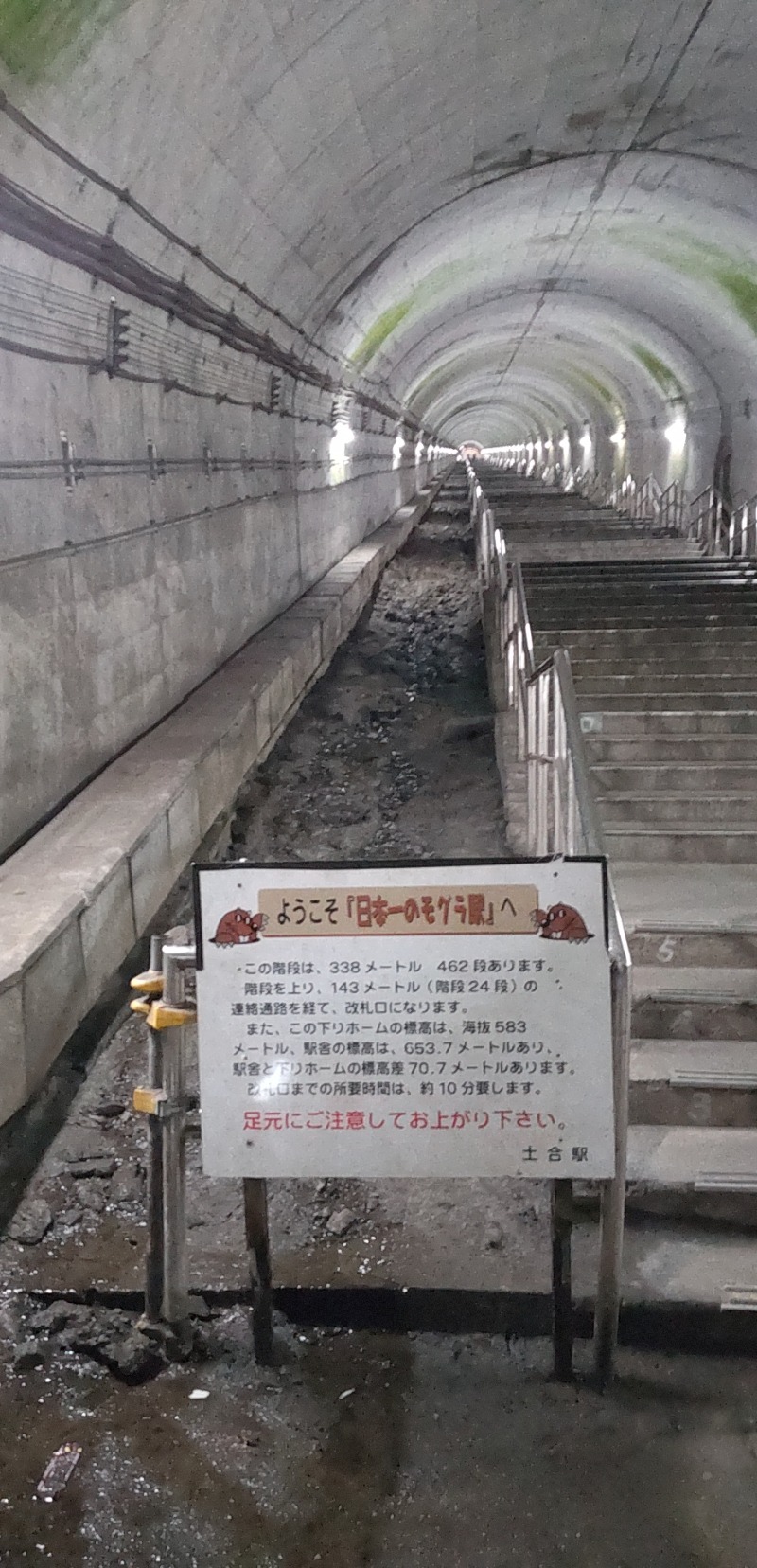 たくたくさんのアパホテル 高崎駅前のサ活写真