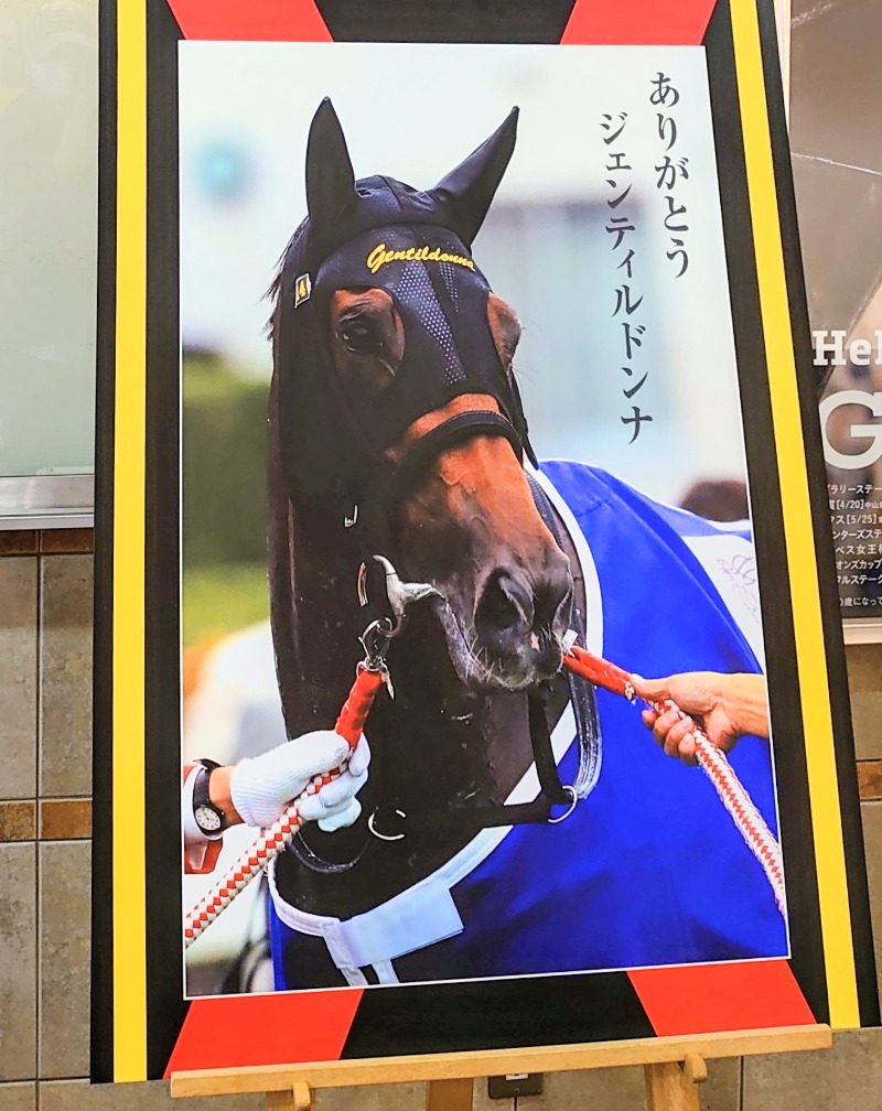 teririnさんのアクアパークにいがたのサ活写真