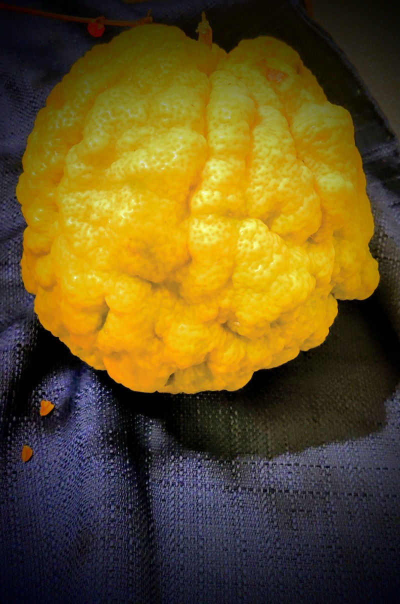 teririnさんのサウナと天然温泉 じょんのび館のサ活写真