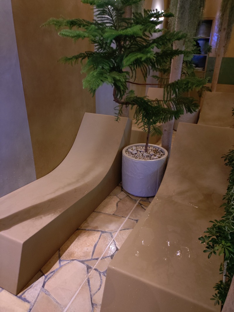 hiromi(葛西橋サウナクラブ事務局)さんの豊島園 庭の湯のサ活写真