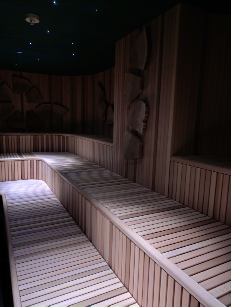 hiromi(葛西橋サウナクラブ事務局)さんの豊島園 庭の湯のサ活写真