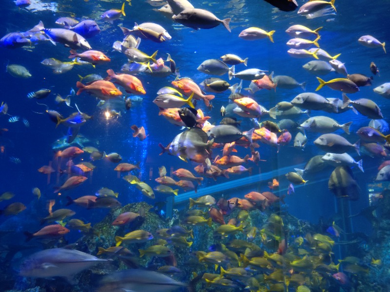 hiromi(葛西橋サウナクラブ事務局)さんのグランドメルキュール伊勢志摩リゾート&スパのサ活写真