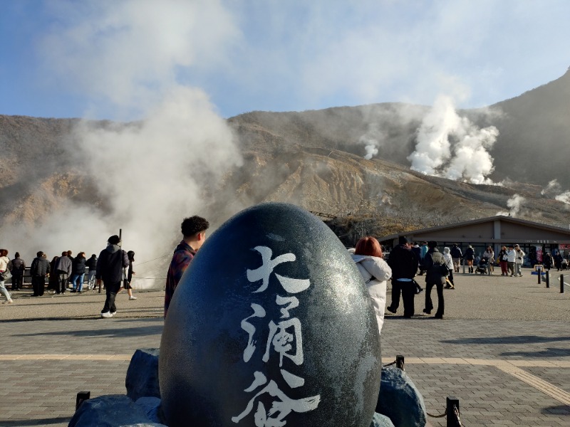 hiromi(葛西橋サウナクラブ事務局)さんの箱根路 開雲のサ活写真