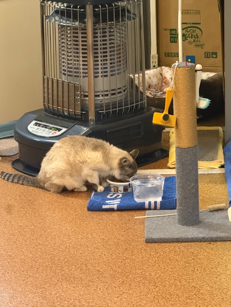 北のフロラーさんの花園温泉のサ活写真