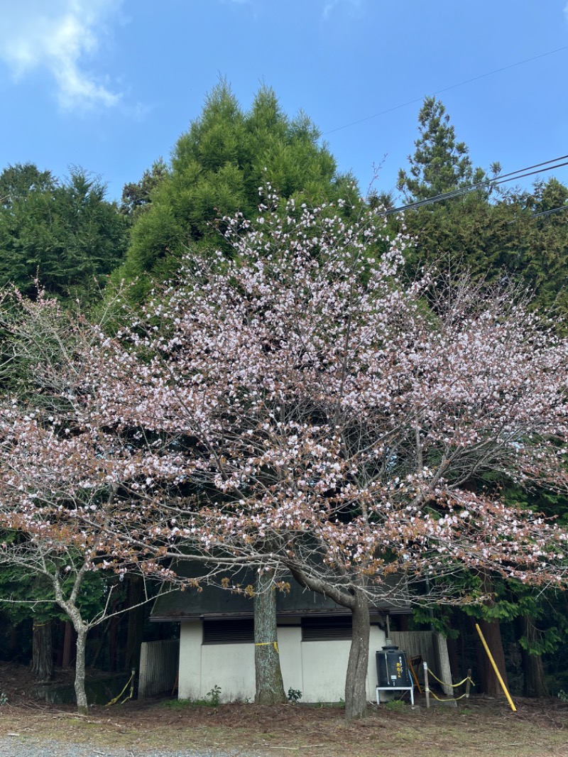 momoさんの天然温泉 本宮の湯のサ活写真