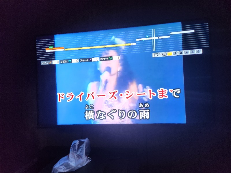 メーテルさんの駿河健康ランドのサ活写真