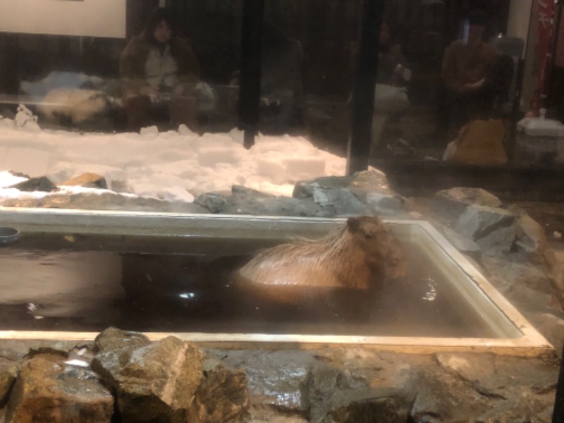 サライさんの石狩天然温泉 番屋の湯のサ活写真