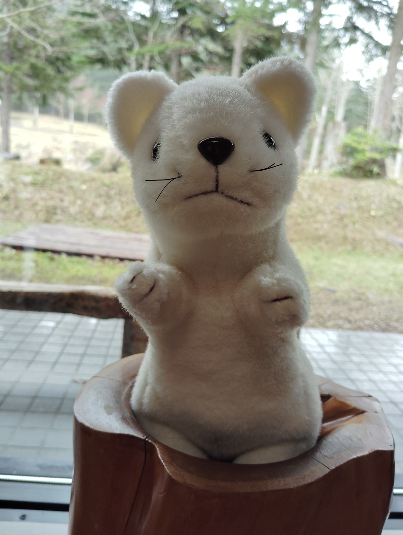 ピエさんの奥屈斜路温泉ランプの宿森つべつのサ活写真