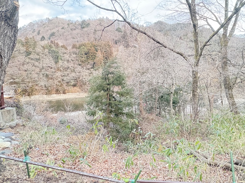 franz saunnerさんのさぷらすのサ活写真