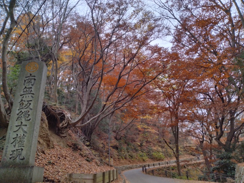 元橋 あきひろさんの京王高尾山温泉 極楽湯のサ活写真