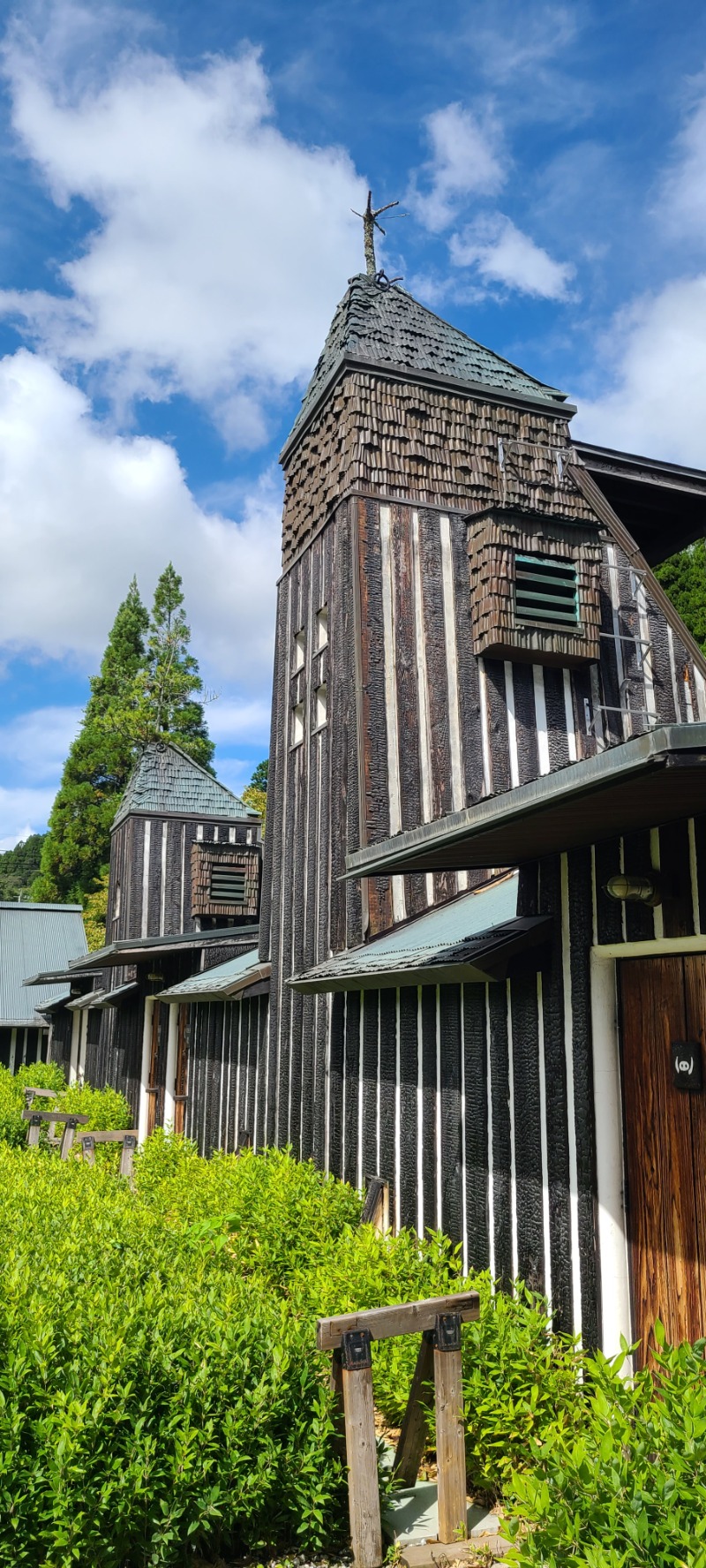 Sauna ねこさんのラムネ温泉館のサ活写真