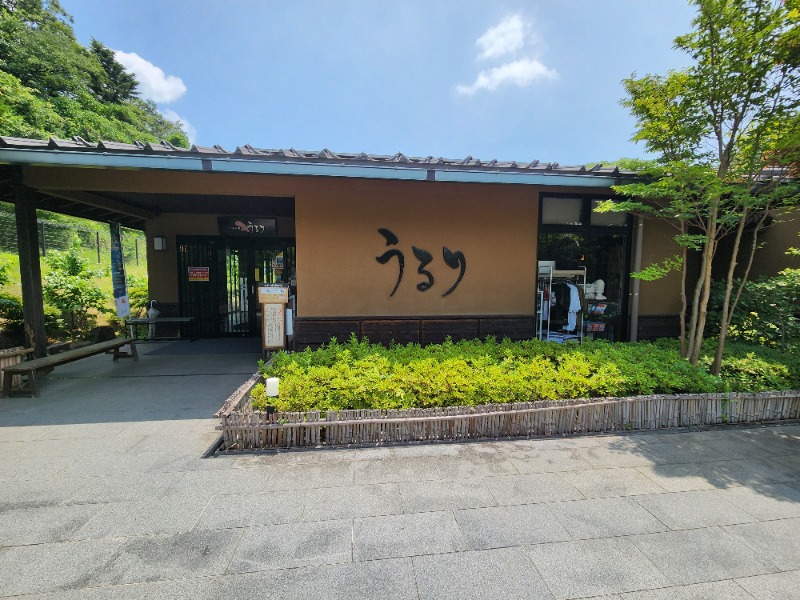 メーテルさんのさがみ湖温泉 うるりのサ活写真