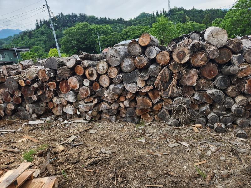 メーテルさんの泰安温泉(銭湯)のサ活写真