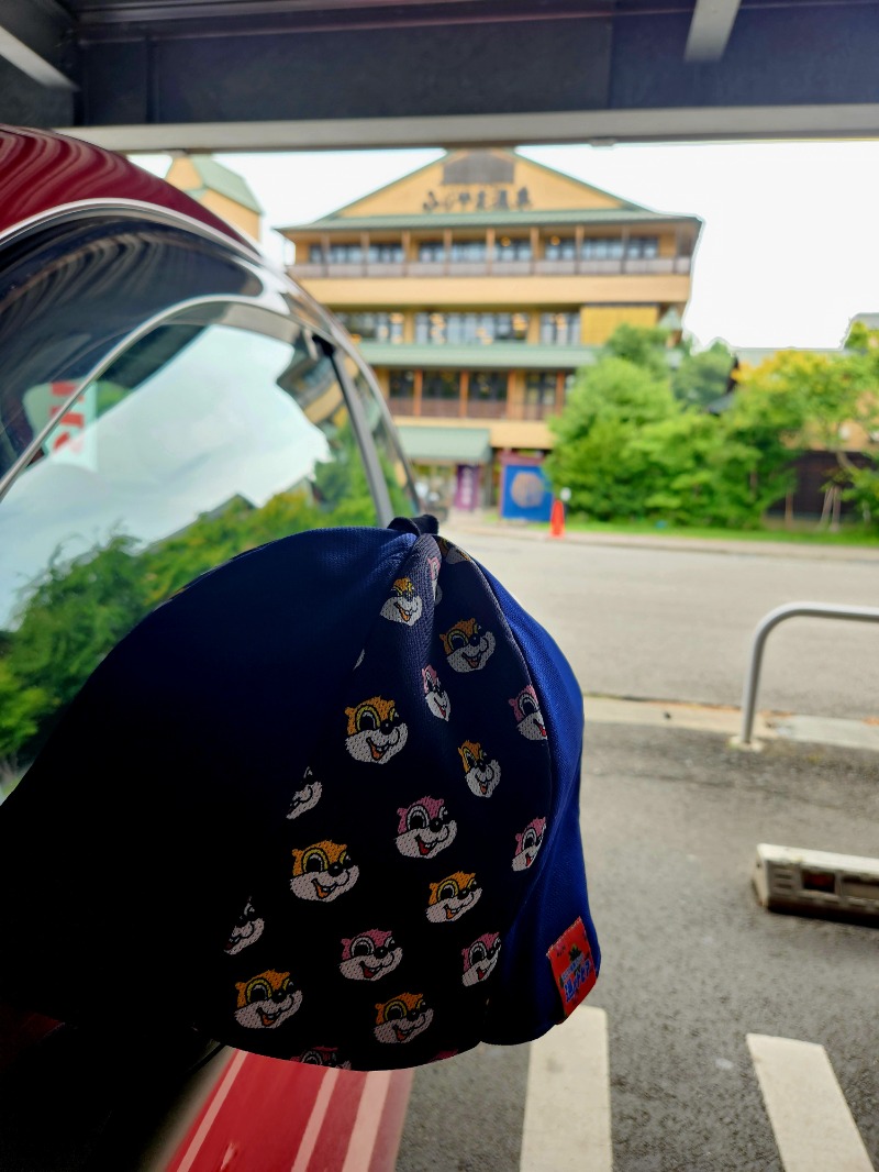 メーテルさんのふじやま温泉のサ活写真