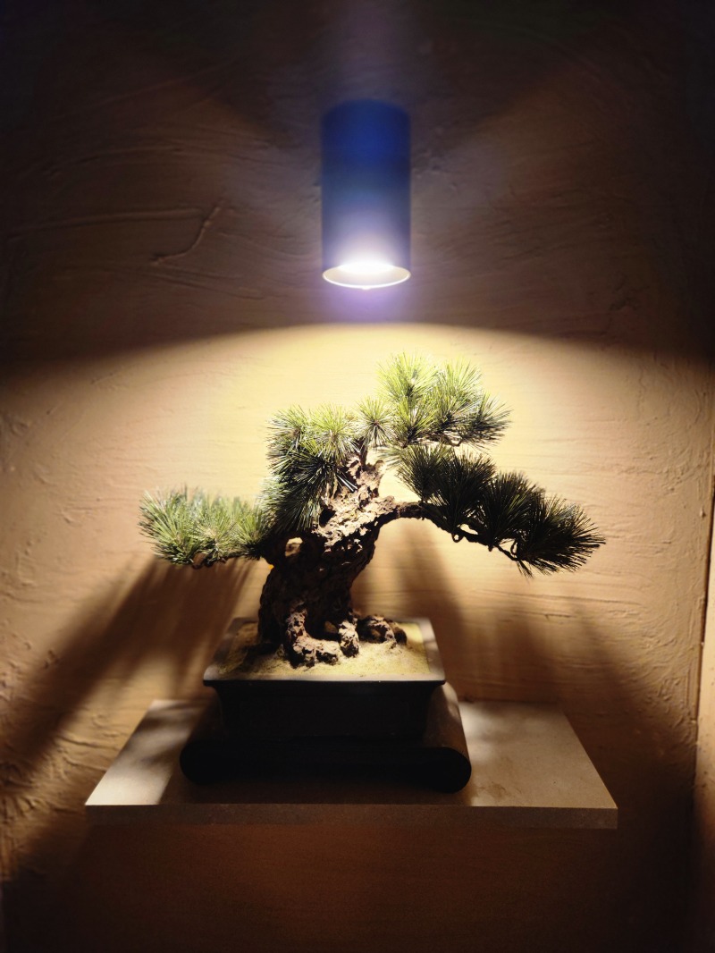 メーテルさんの達磨サウナのサ活写真