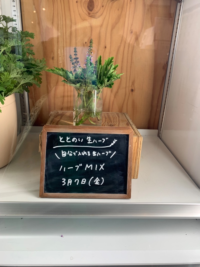 サウナッパさんの岐阜各務原 恵みの湯のサ活写真