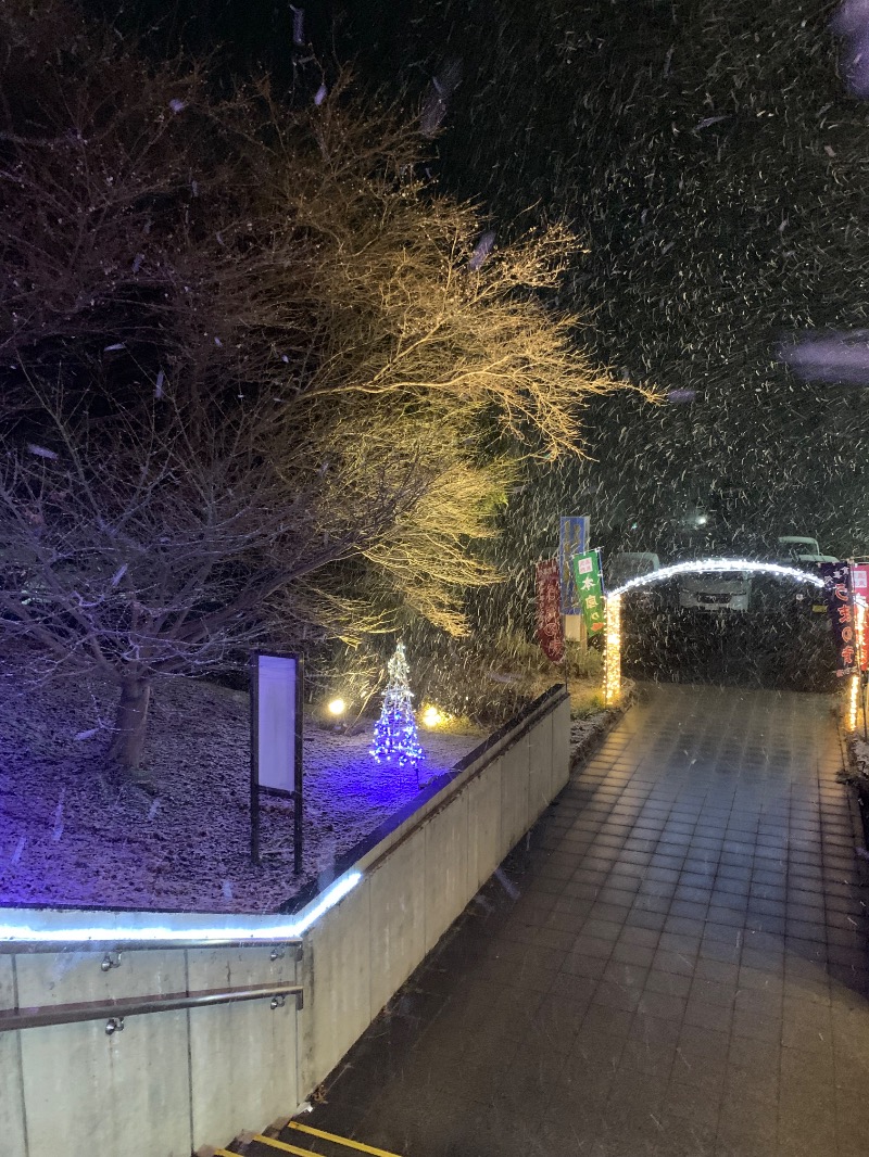 サウナッパさんの天然温泉 本宮の湯のサ活写真