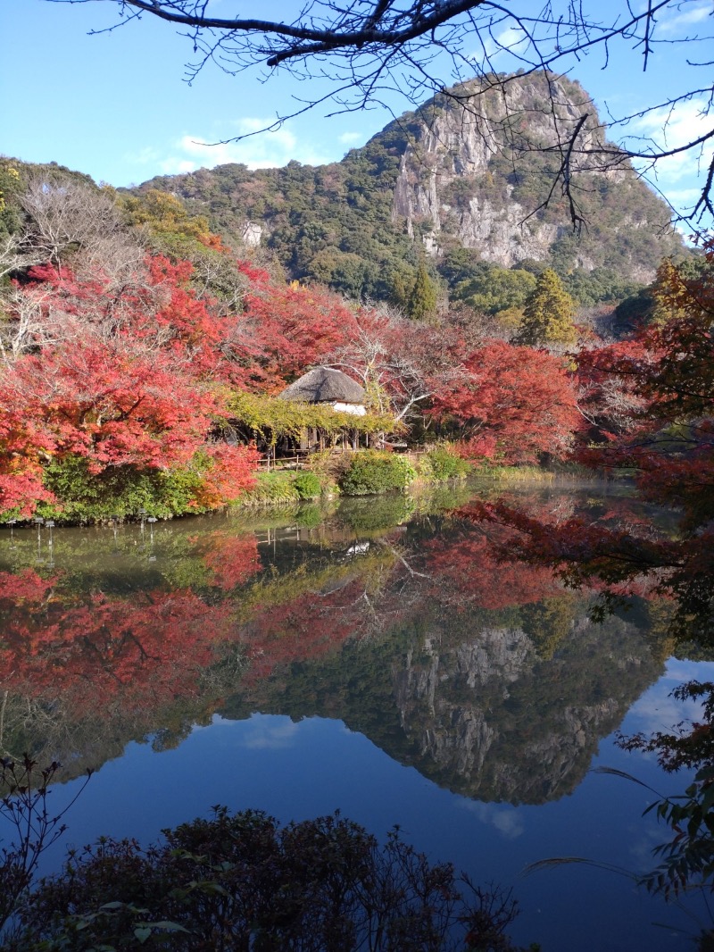 MR.SAUNAさんの御船山楽園ホテル  らかんの湯のサ活写真