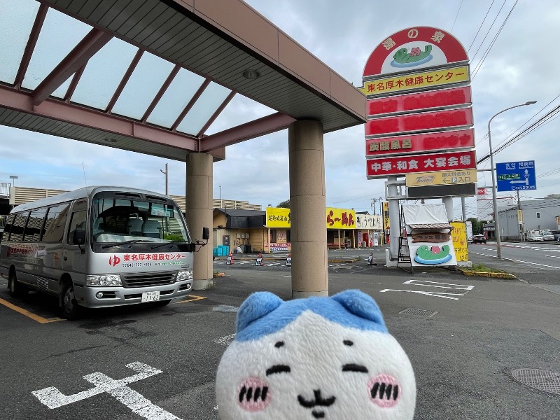 ＡＫＰさんの湯乃泉 東名厚木健康センターのサ活写真