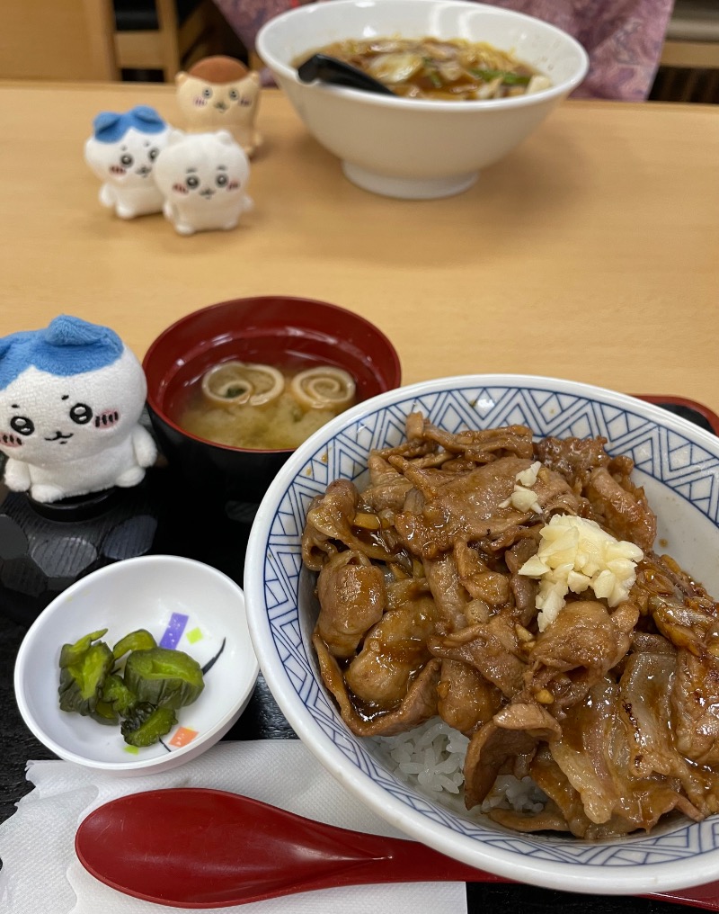 ＡＫＰさんの湯乃泉 東名厚木健康センターのサ活写真