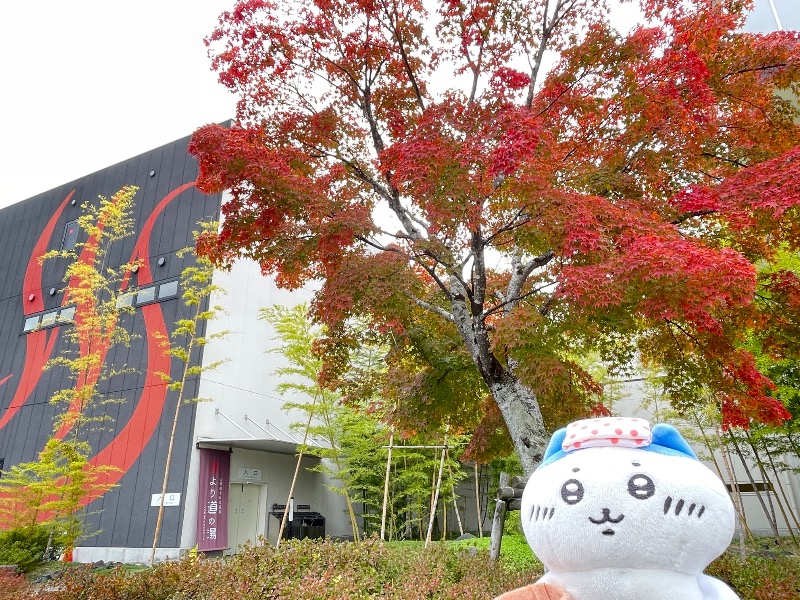 ＡＫＰさんの山梨泊まれる温泉 より道の湯のサ活写真