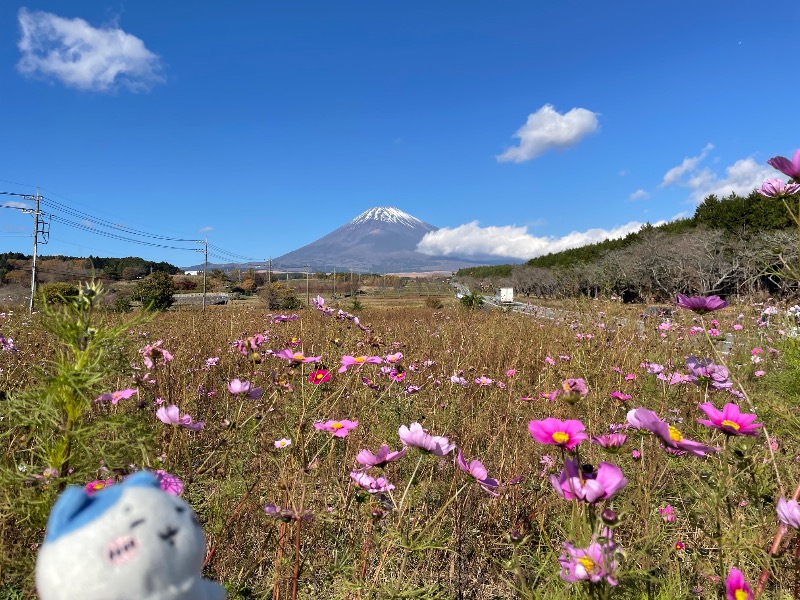 ＡＫＰさんの富士山天然水SPA サウナ鷹の湯のサ活写真