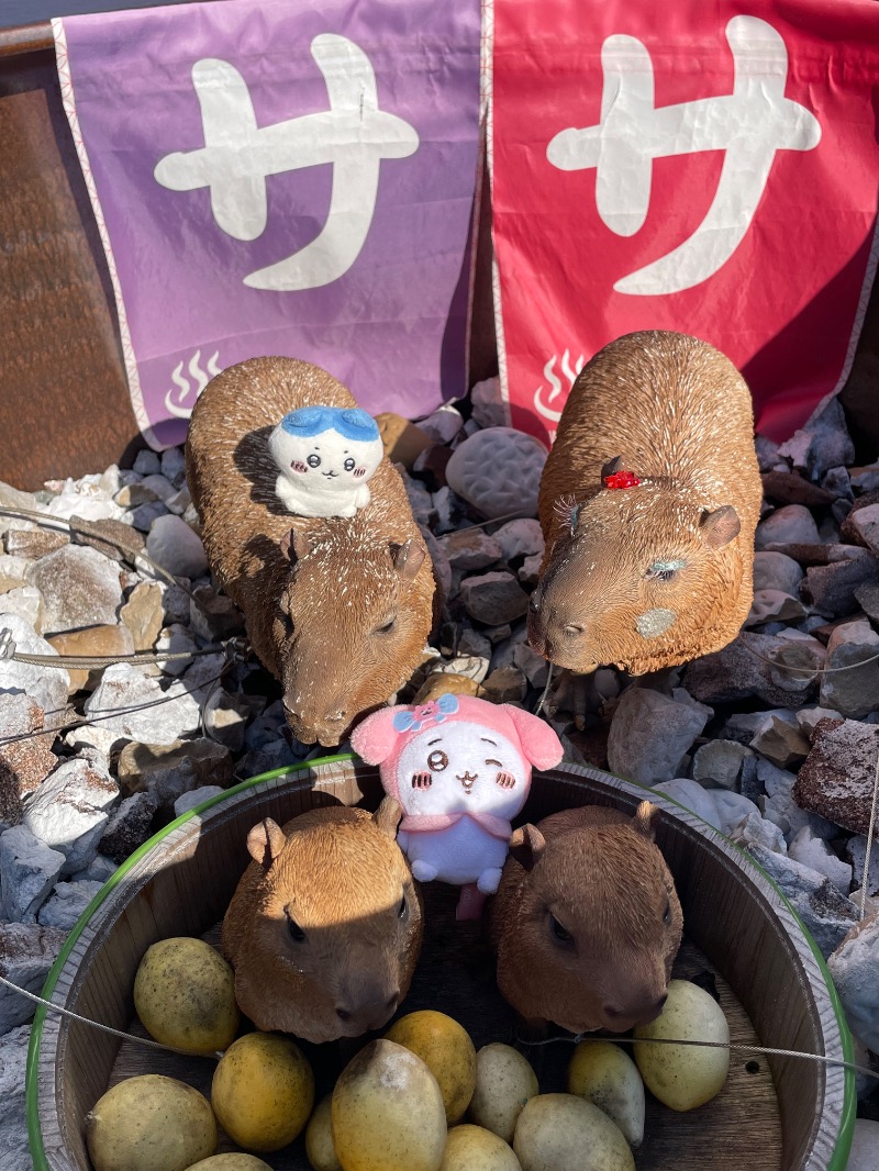 ＡＫＰさんの富士山天然水SPA サウナ鷹の湯のサ活写真