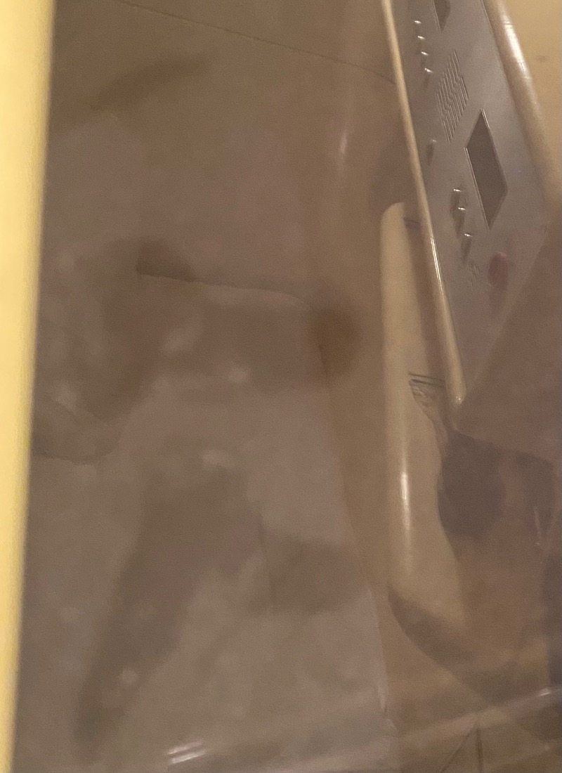 iさんのグリーンランド 中洲店のサ活写真