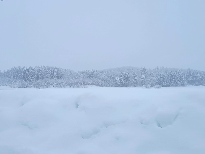 よーこさんの大江戸温泉物語 Premium 汐美荘のサ活写真
