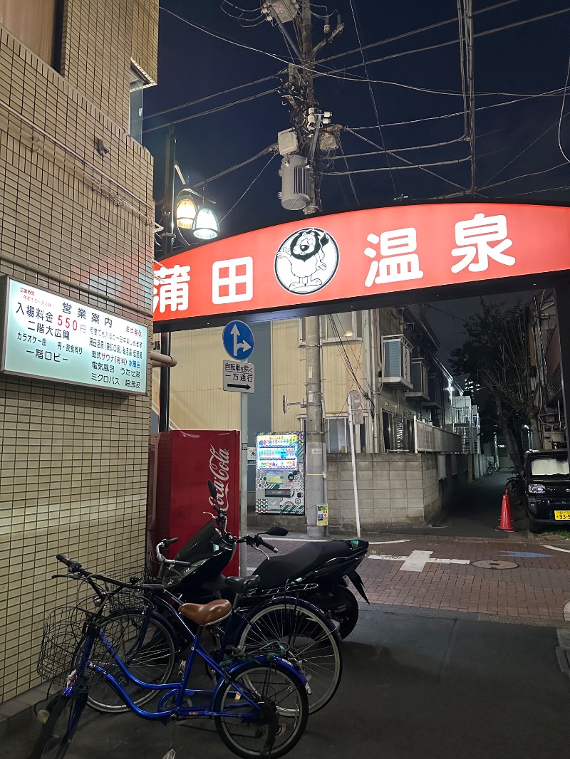 さうにゃーさんの蒲田温泉のサ活写真