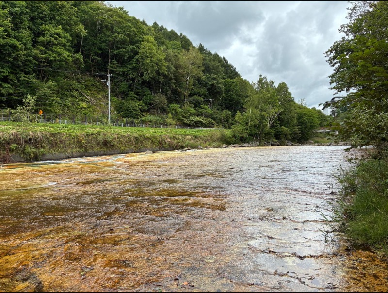 無心さんの緑の風 リゾート きたゆざわのサ活写真