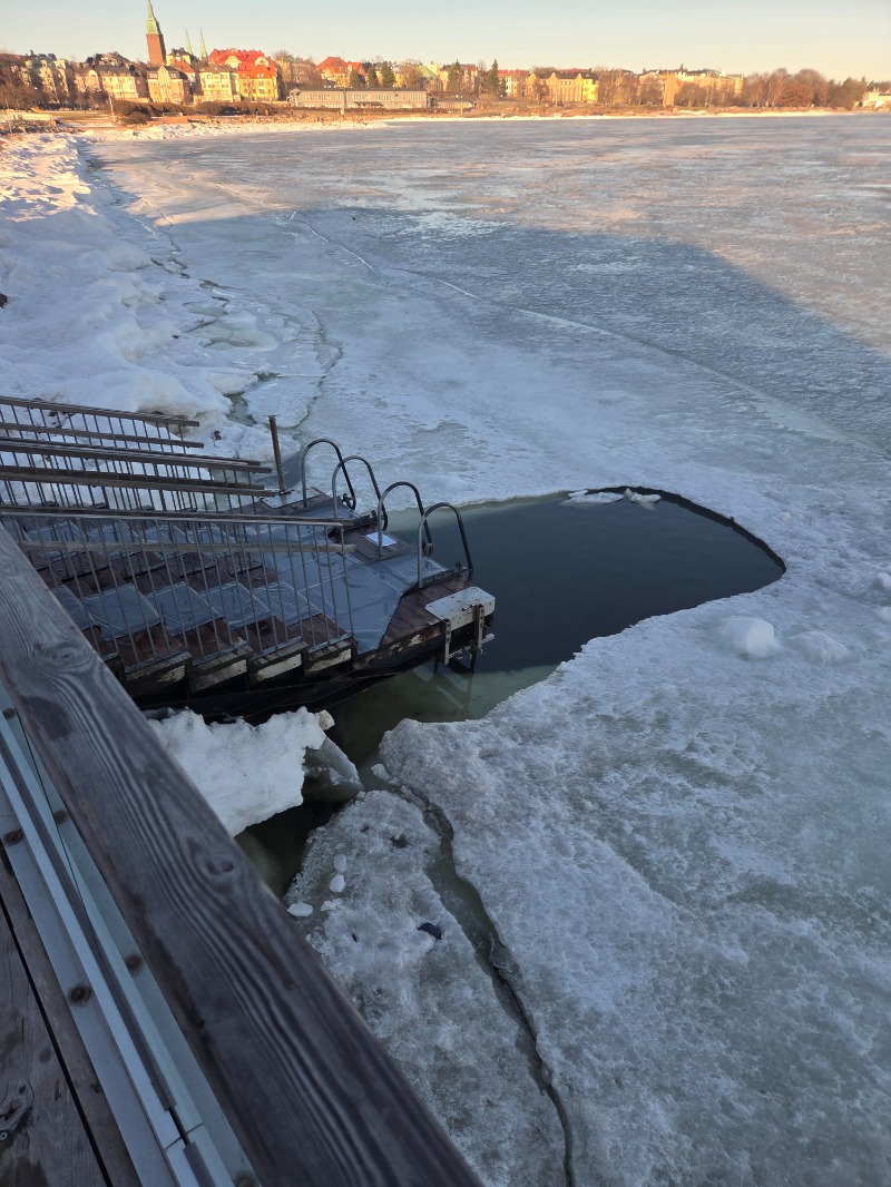 びあんさんのLöylyのサ活写真