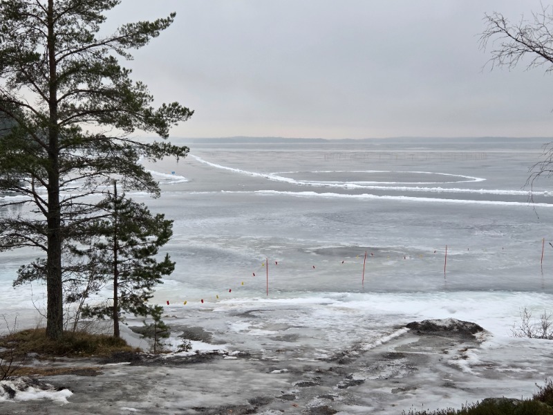 びあんさんのKaupinojan Saunaのサ活写真