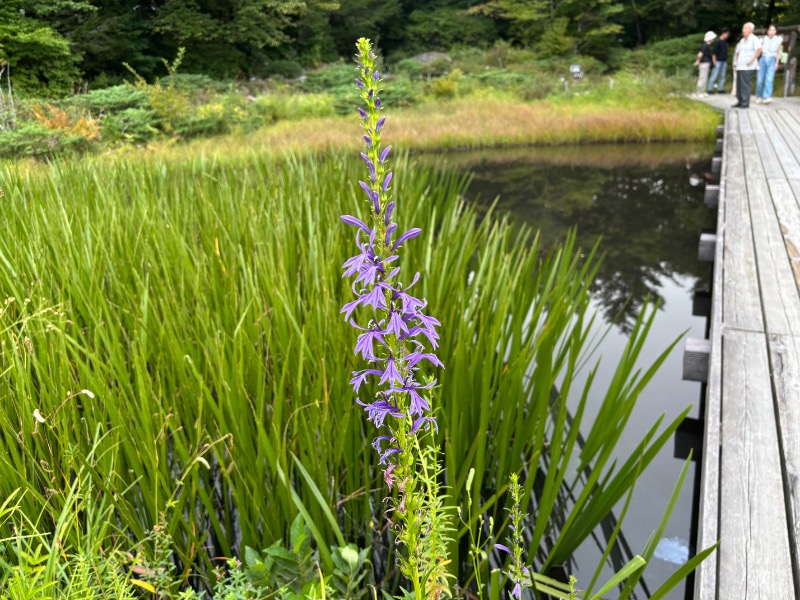 ゆき🍄さんのスパリゾート オアシス御殿場のサ活写真