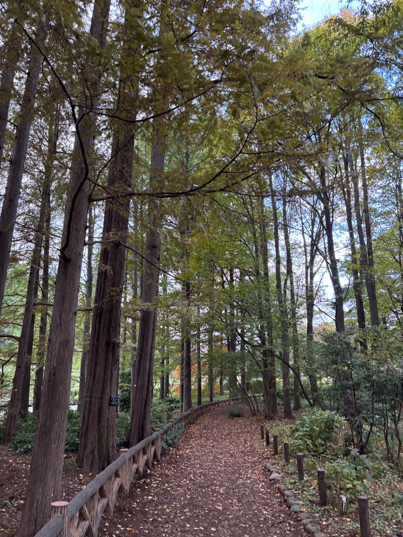 ゆき🍄さんのMONSTER WORK & SAUNAのサ活写真