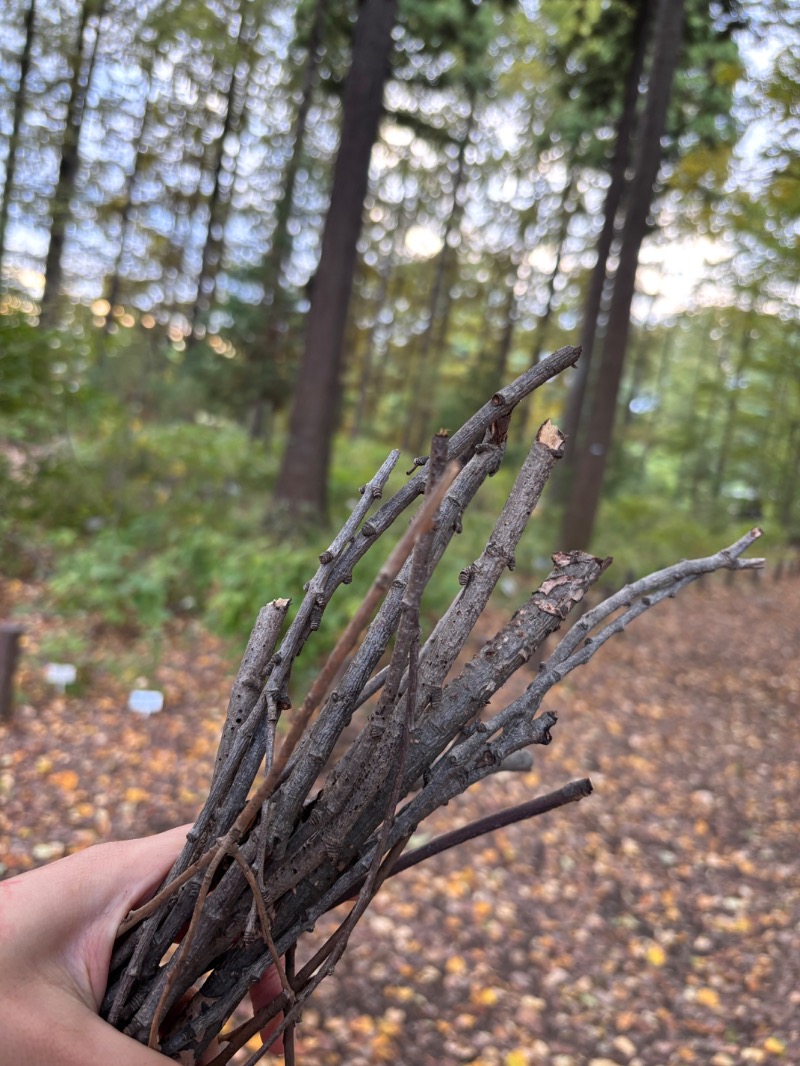 ゆき🍄さんのMONSTER WORK & SAUNAのサ活写真