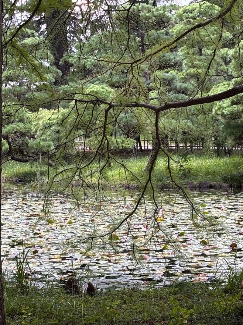 ゆき🍄さんのMONSTER WORK & SAUNAのサ活写真